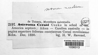 Image Associated With the Occurence